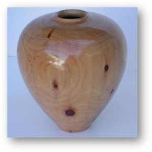 Izak - Norfolk Island Pine